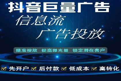 某公司信息流广告的精准投放与效果评估